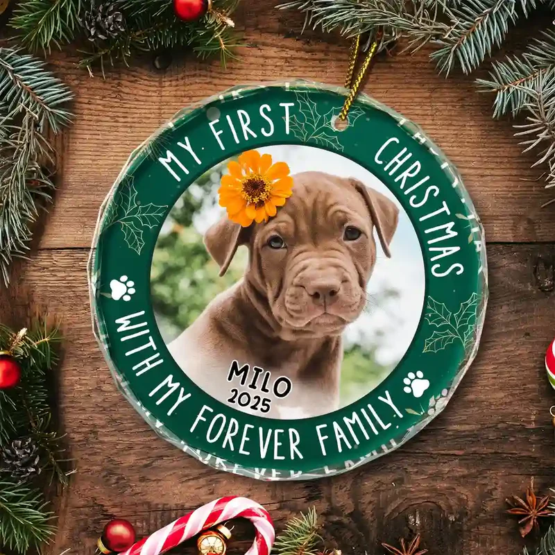 Crystal Ornament with Pet Photo, My First Christmas Circle Design in Green Holly, a Unique Gift for Pet Parents