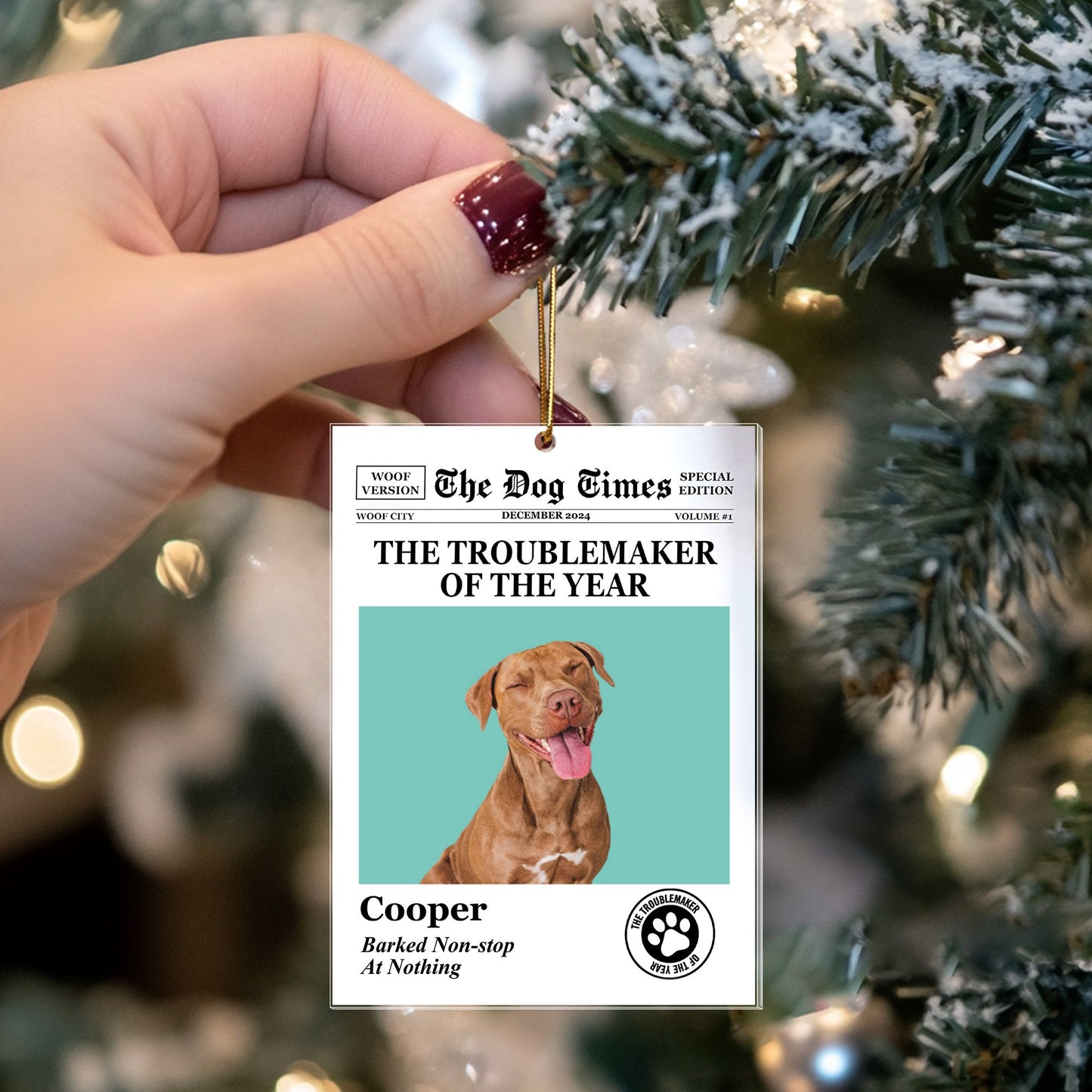 Personalized Pet Ornament – A Loving Tribute to Your Furry Friend