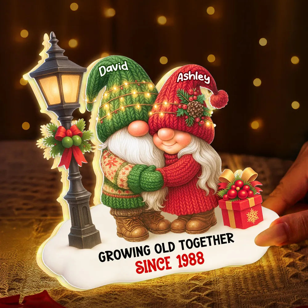 Personalized Acrylic Light Box with Gnome Couple, Cozy Bedroom Lamp for Couples, Unique Growing Old Together Gift