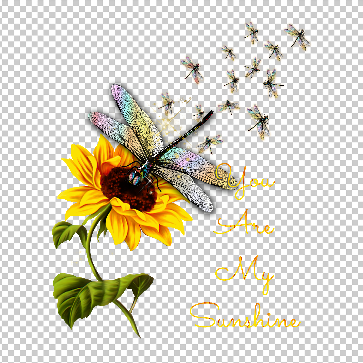 DRAGONFLY 13