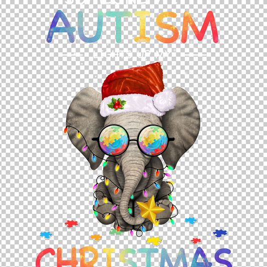 AUTISM AWARENESS 212