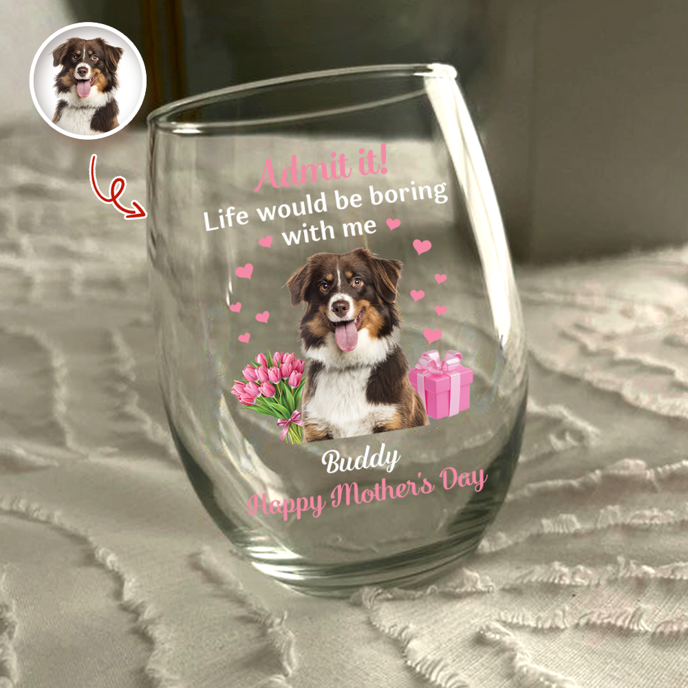 Personalized Pet Photo Wine Glass Admit It Life Would Be Boring With Me Cute Mother's Day Gift for Dog Moms