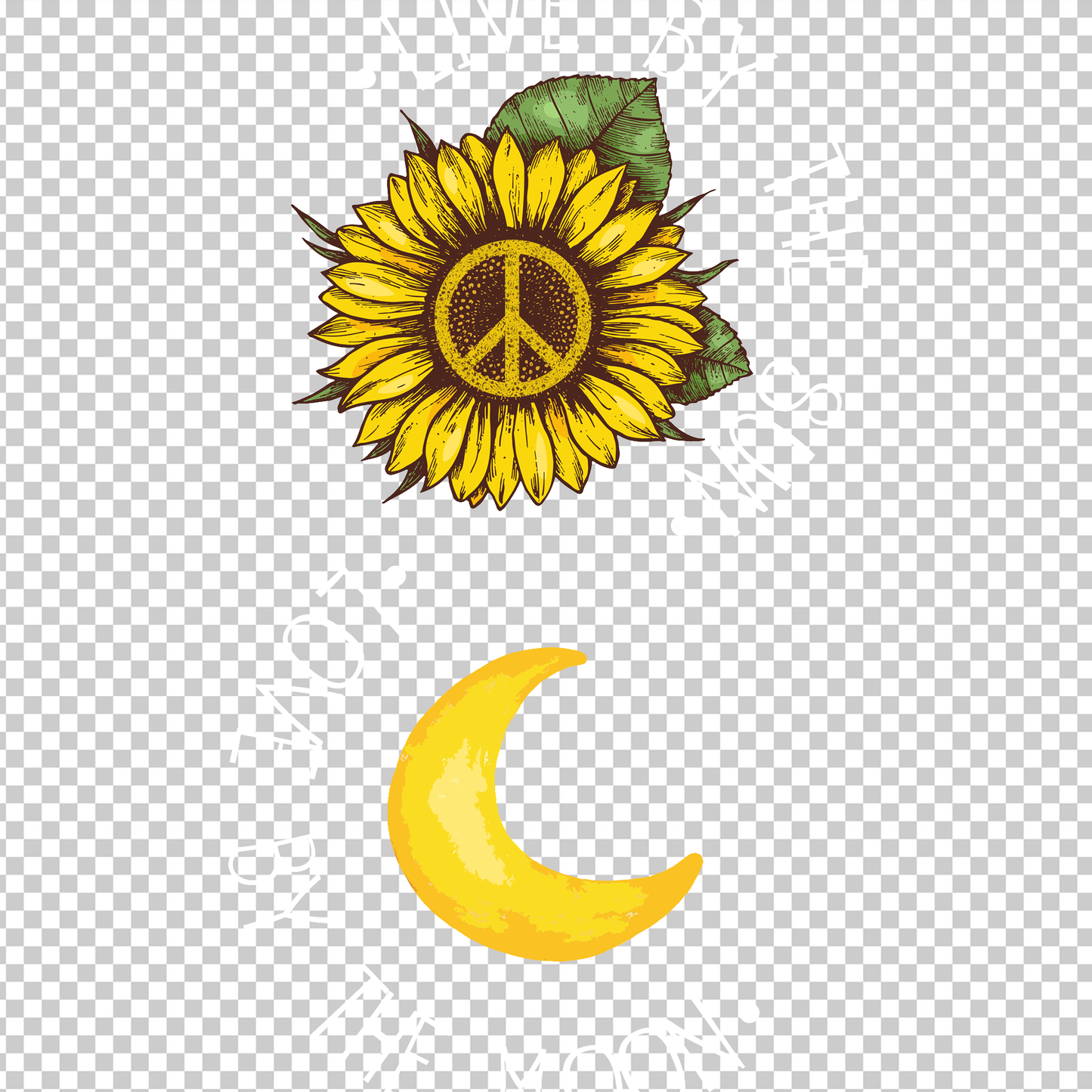 HIPPIE 263