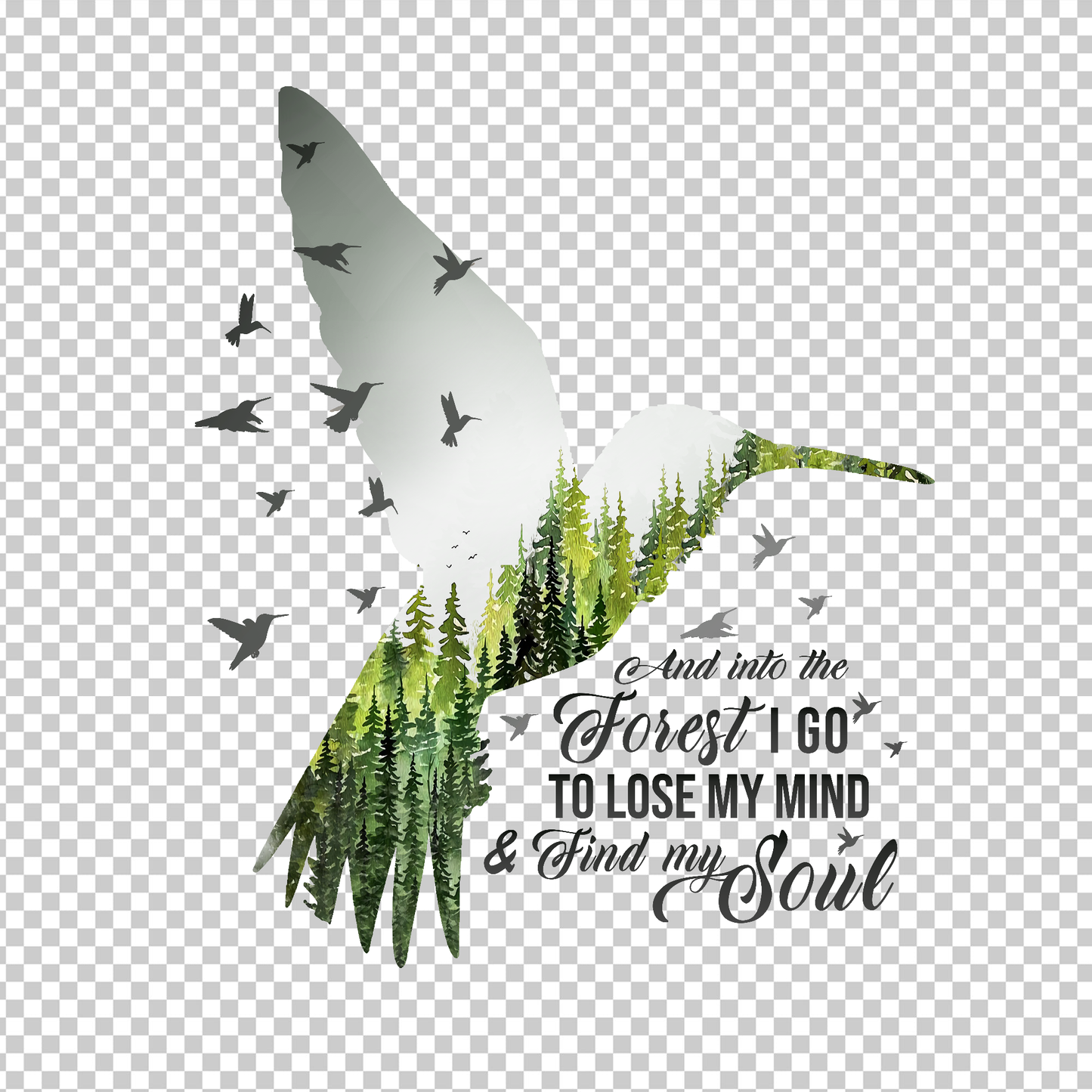 HUMMINGBIRD 4