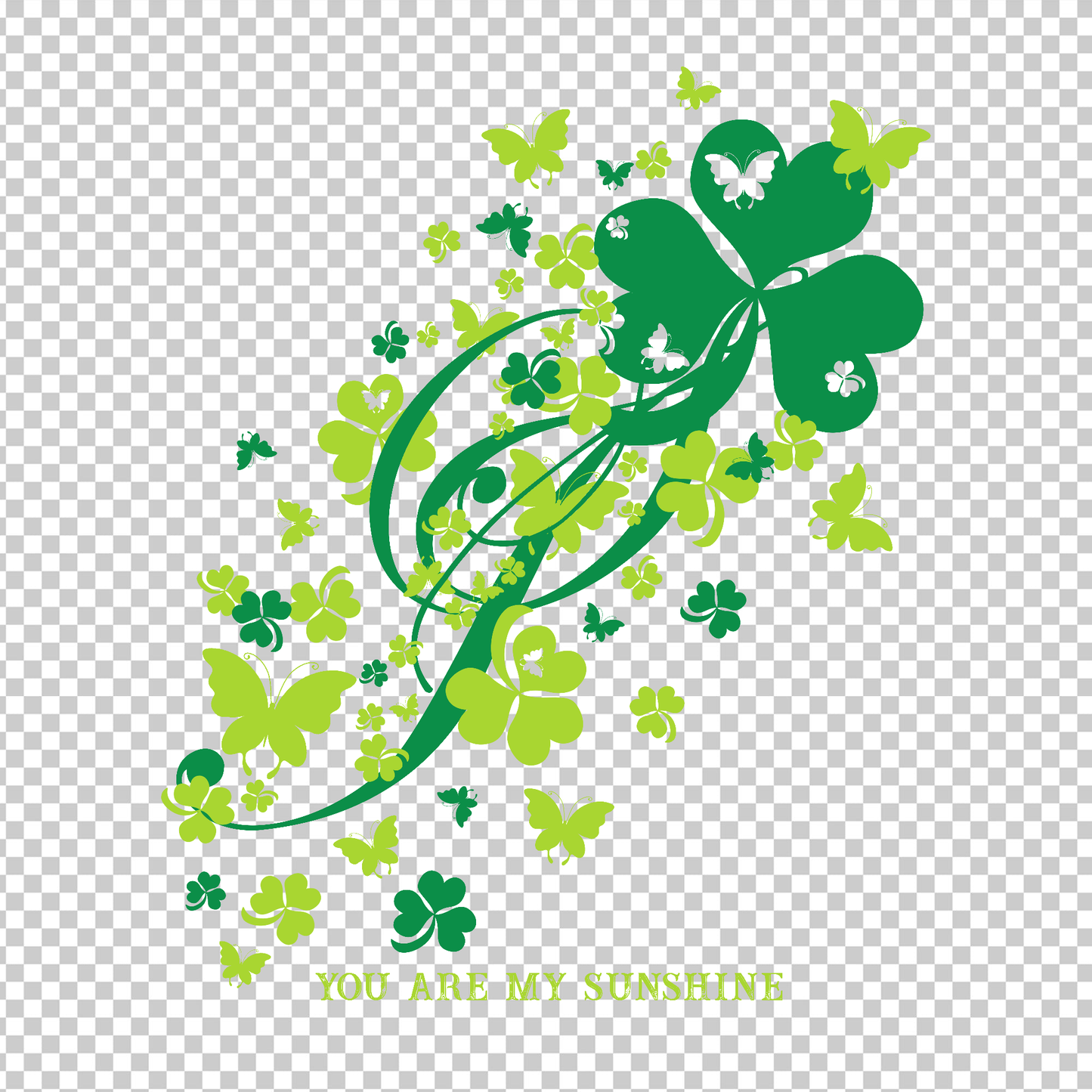 BUTTERFLY 44