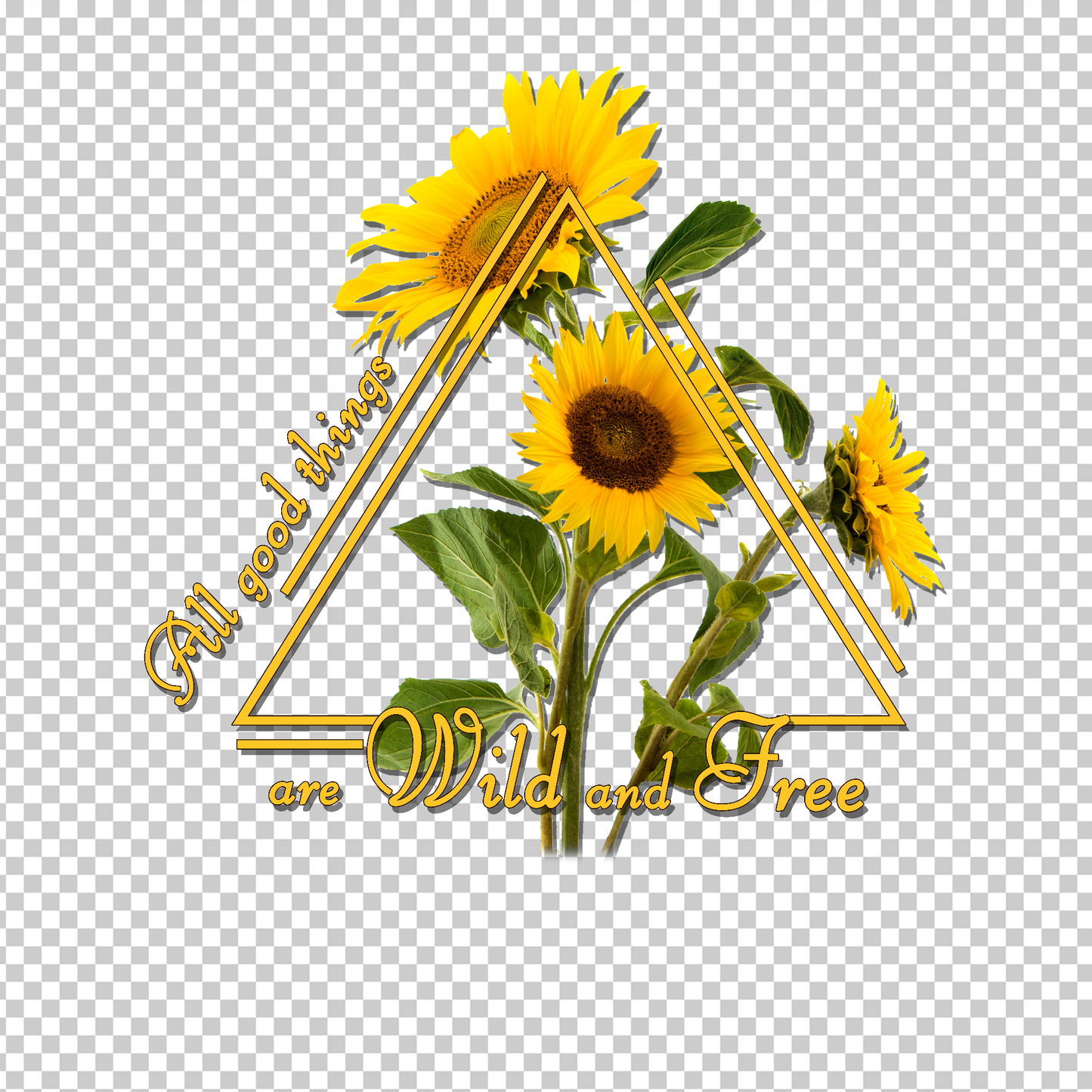 SUNFLOWER 11