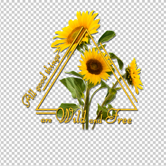 SUNFLOWER 11
