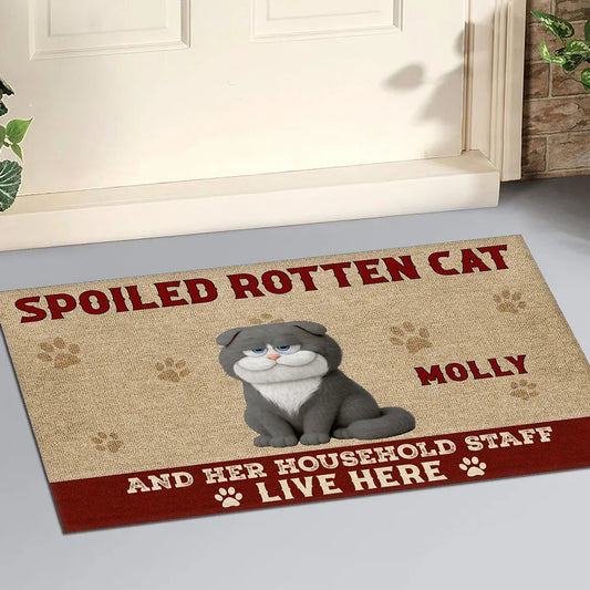 Funny Cat Standard Doormat with Playful Design for Entryway, Adds Humor and Perfect Gift for Pet Lovers