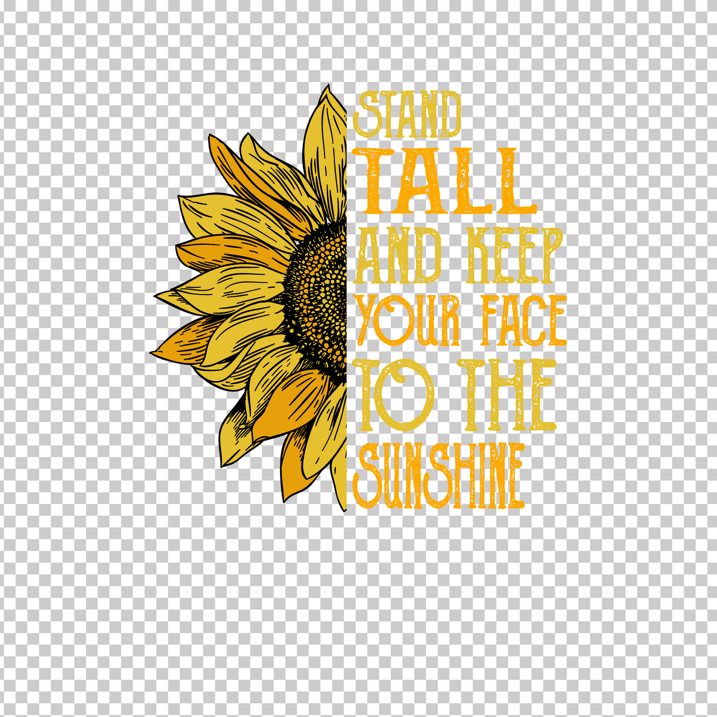 SUNFLOWER 35
