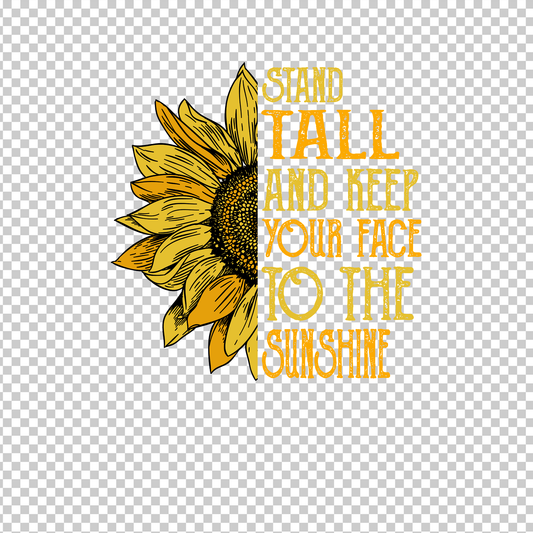 SUNFLOWER 35