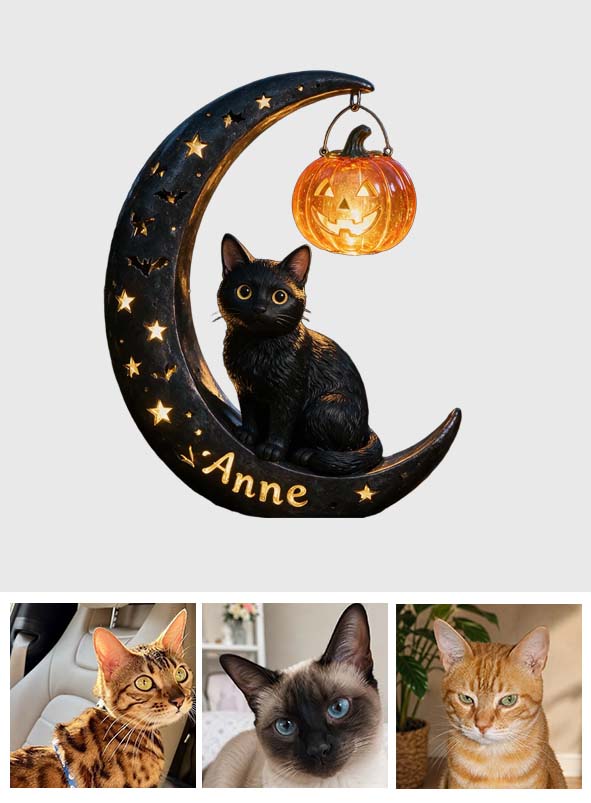 Halloween Cat - Personalized Cat Solar Acrylic Light