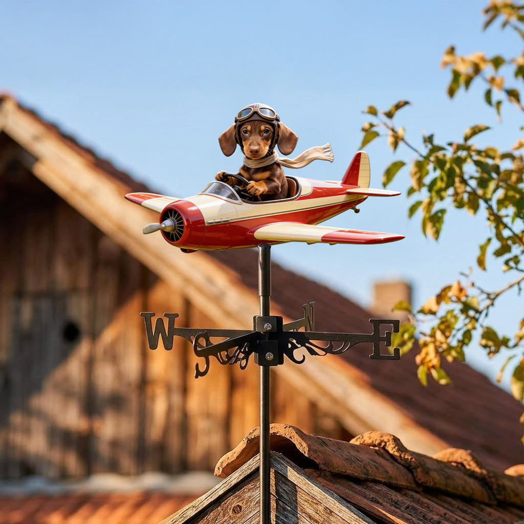 Must-have Item for Your Garden, Pet Lover Gift - Personalized Dog Weather Vane