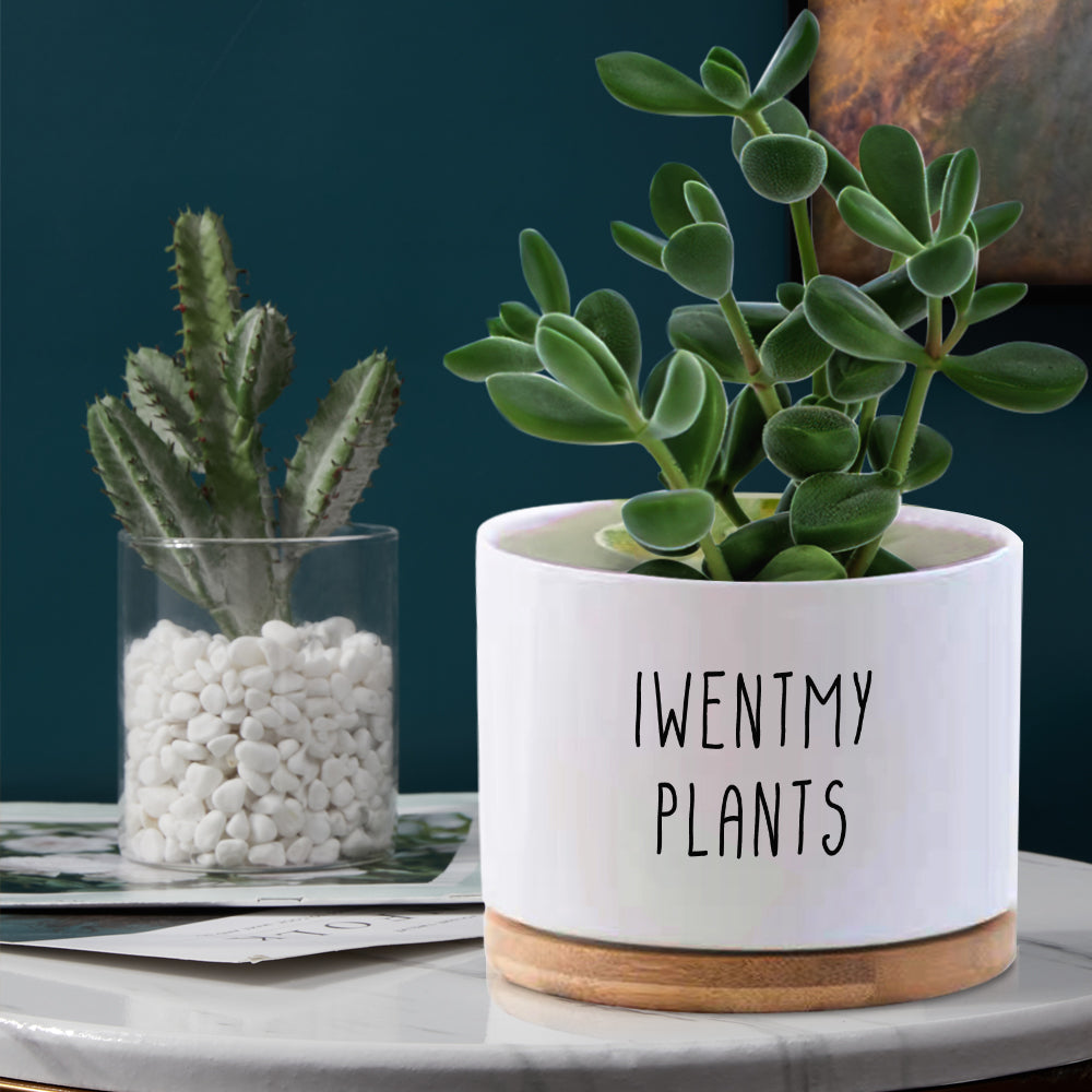 Custom Text Plant Pot - gift for her, plant mom, wife, mom - Personalized Ceramic Pot