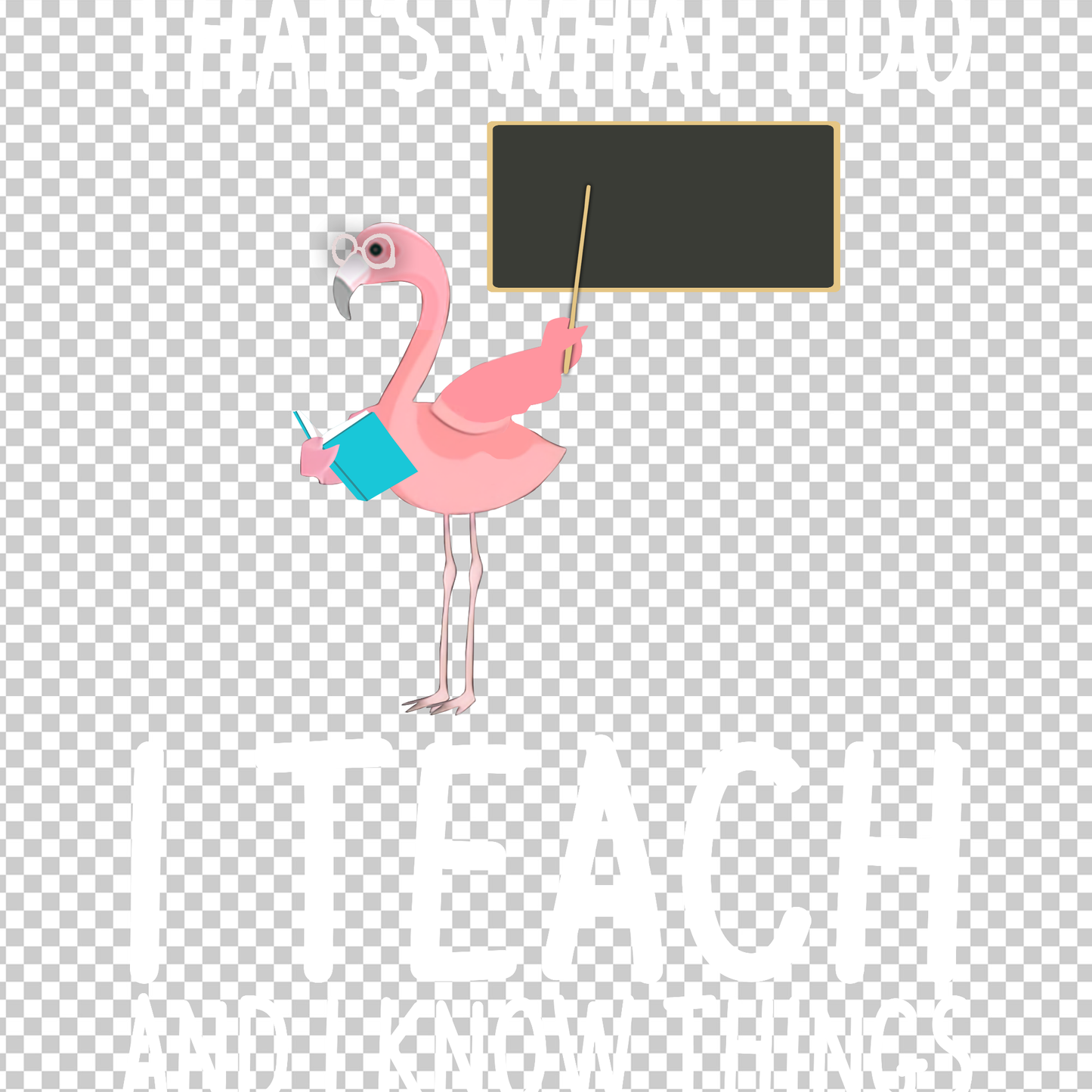 TEACHER 512