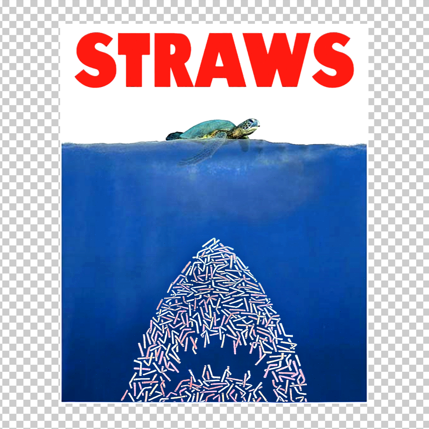 TURTLE 15