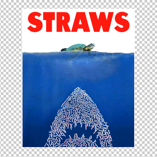 TURTLE 15