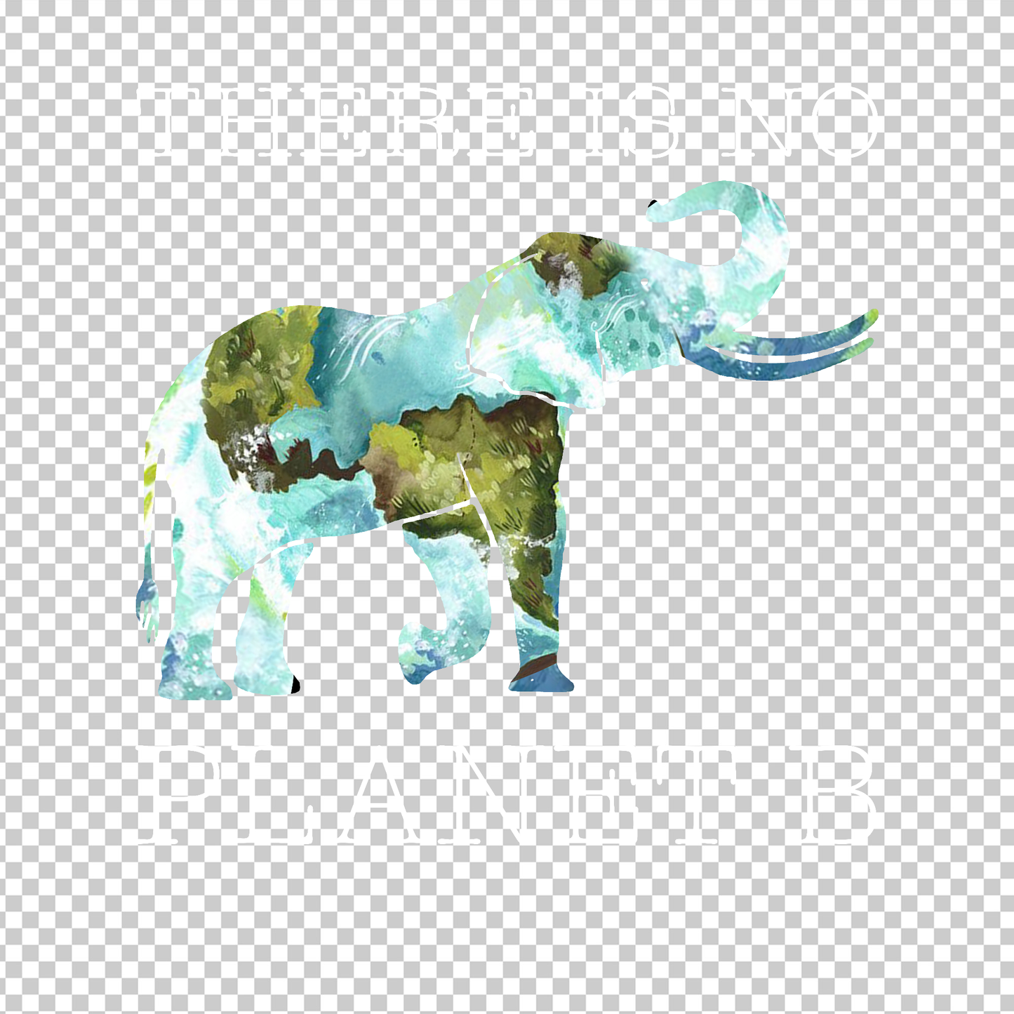 ELEPHANT 7