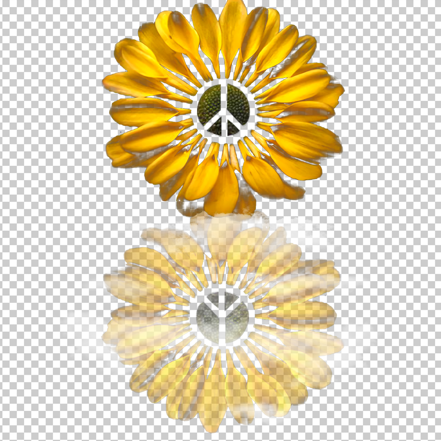 HIPPIE 253