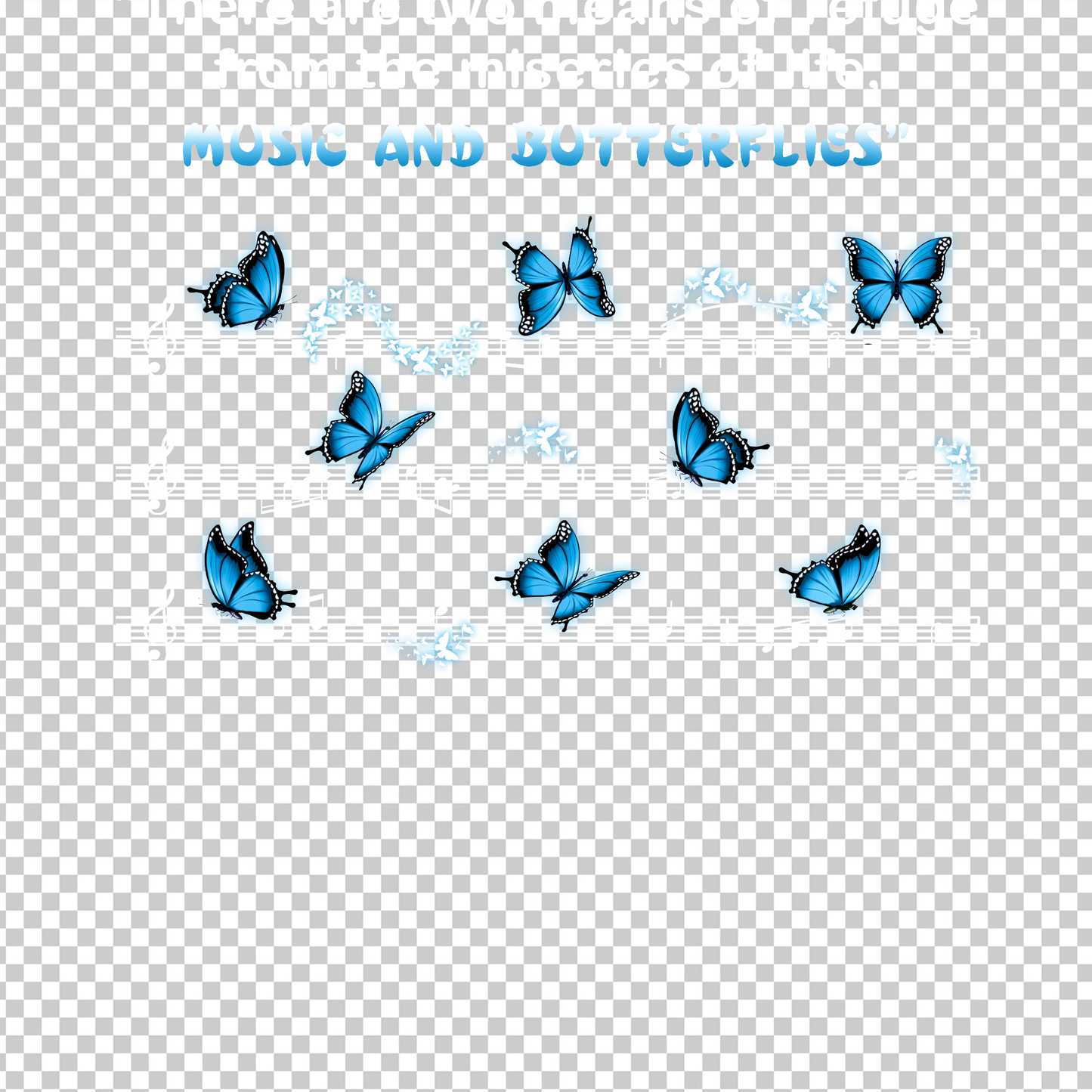 BUTTERFLY 37