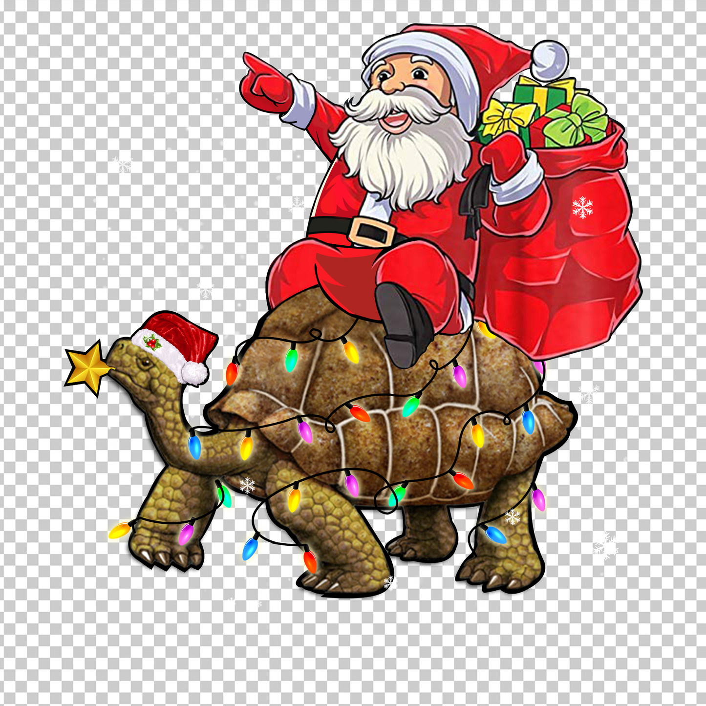 TURTLE 18