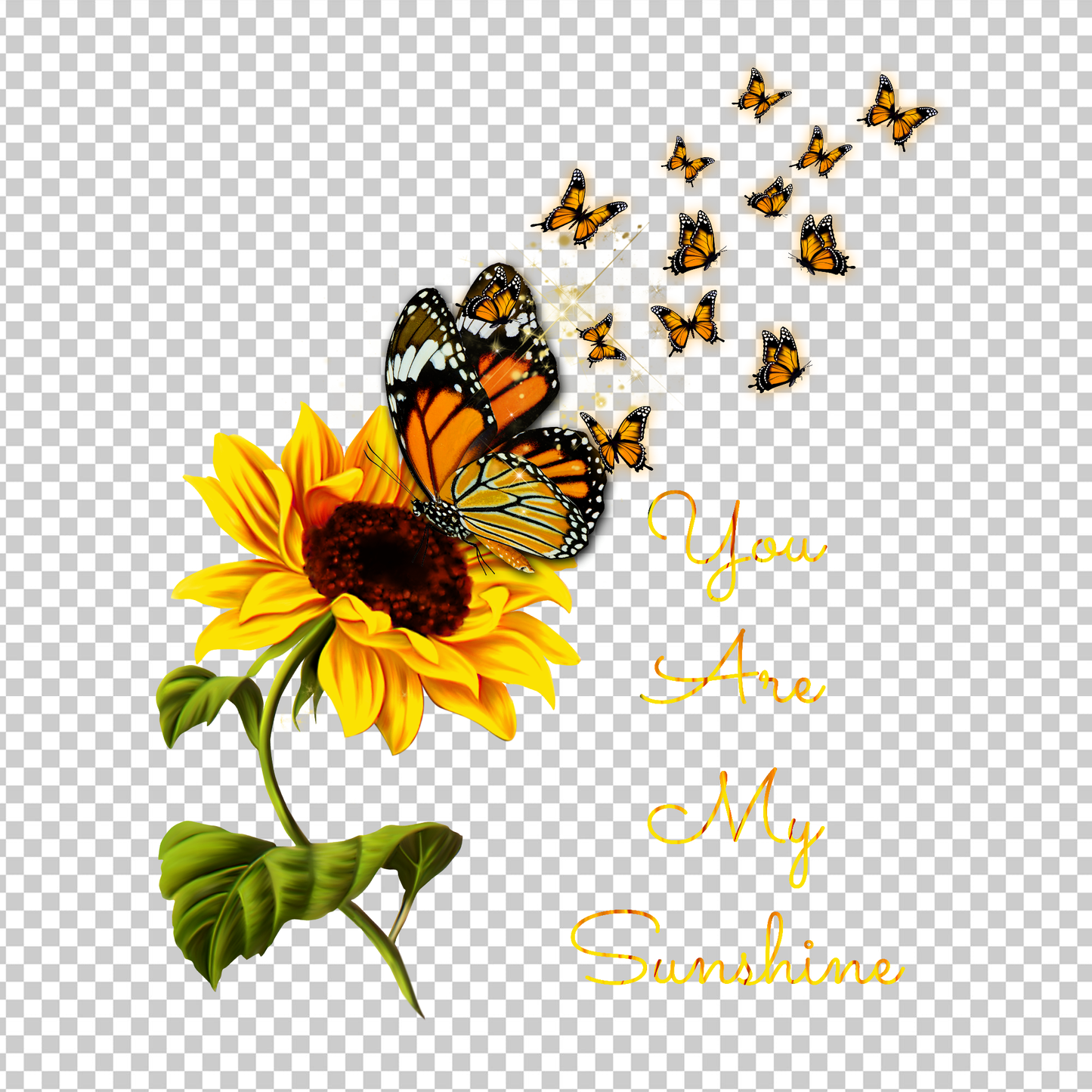 BUTTERFLY 25