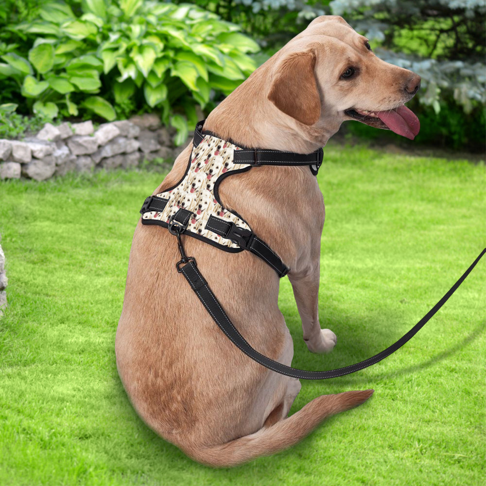 Custom Pet Photo Pattern - Personalized Dog Funny Photo Pattern Style Dog Harness