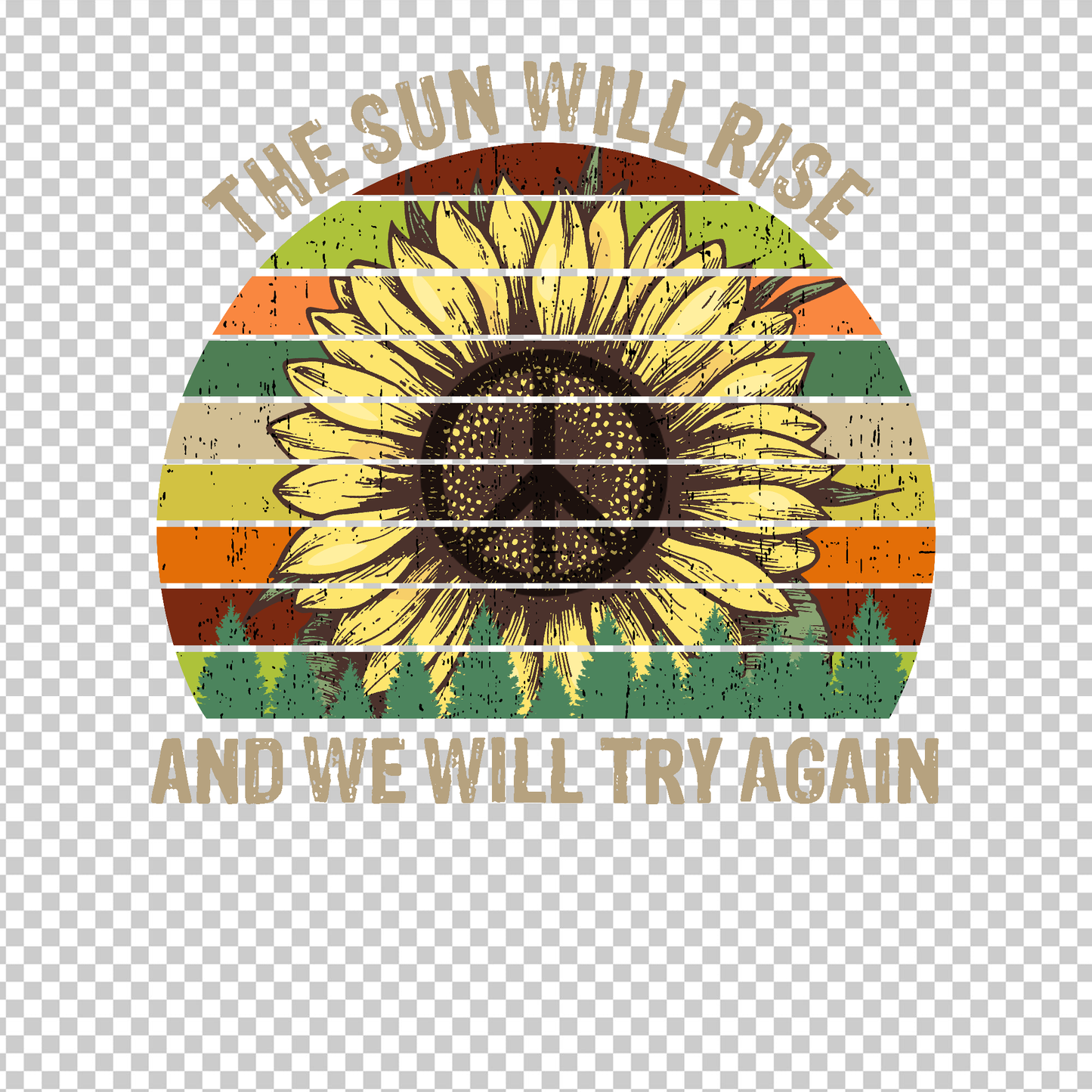 HIPPIE 66
