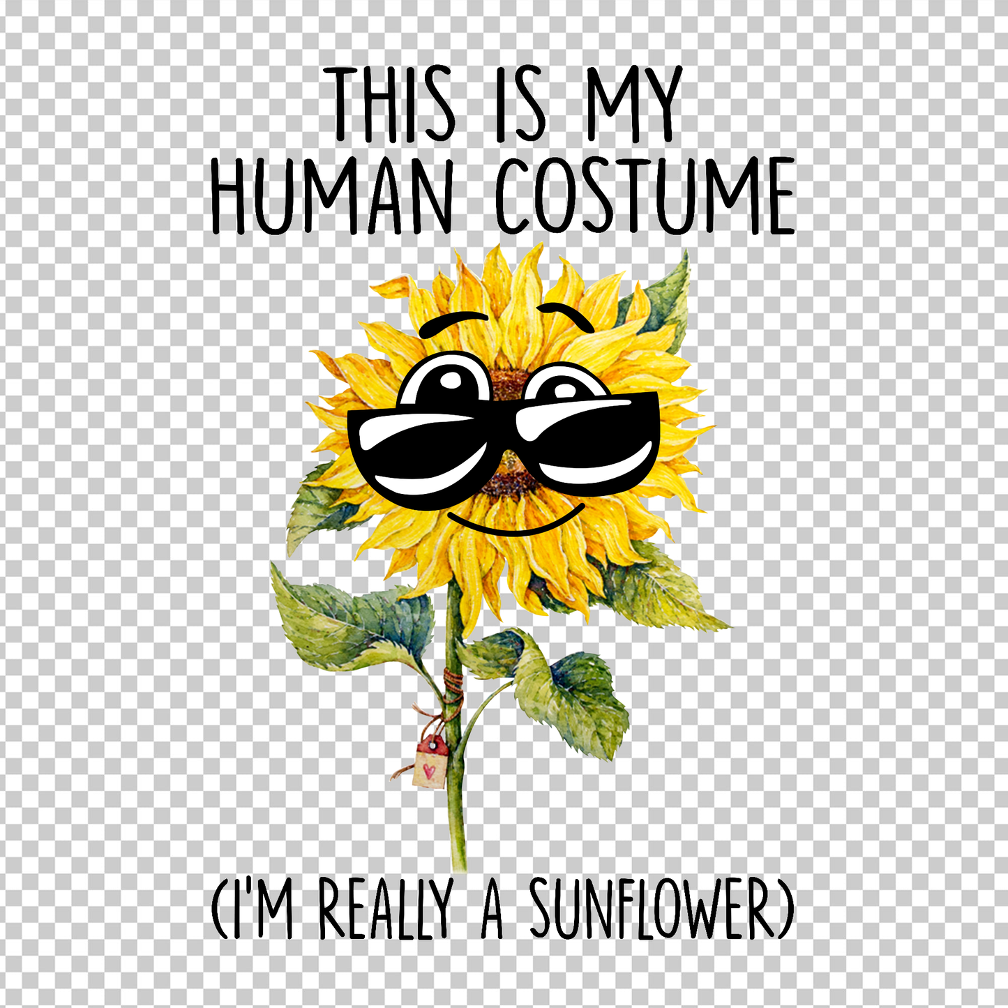 SUNFLOWER 30