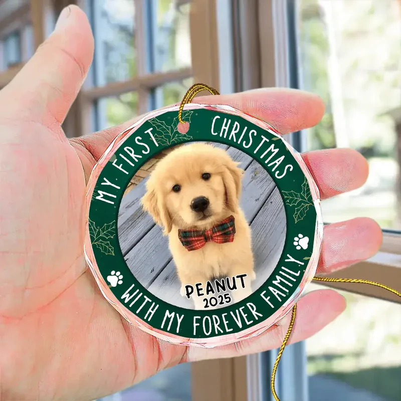 Crystal Ornament with Pet Photo, My First Christmas Circle Design in Green Holly, a Unique Gift for Pet Parents