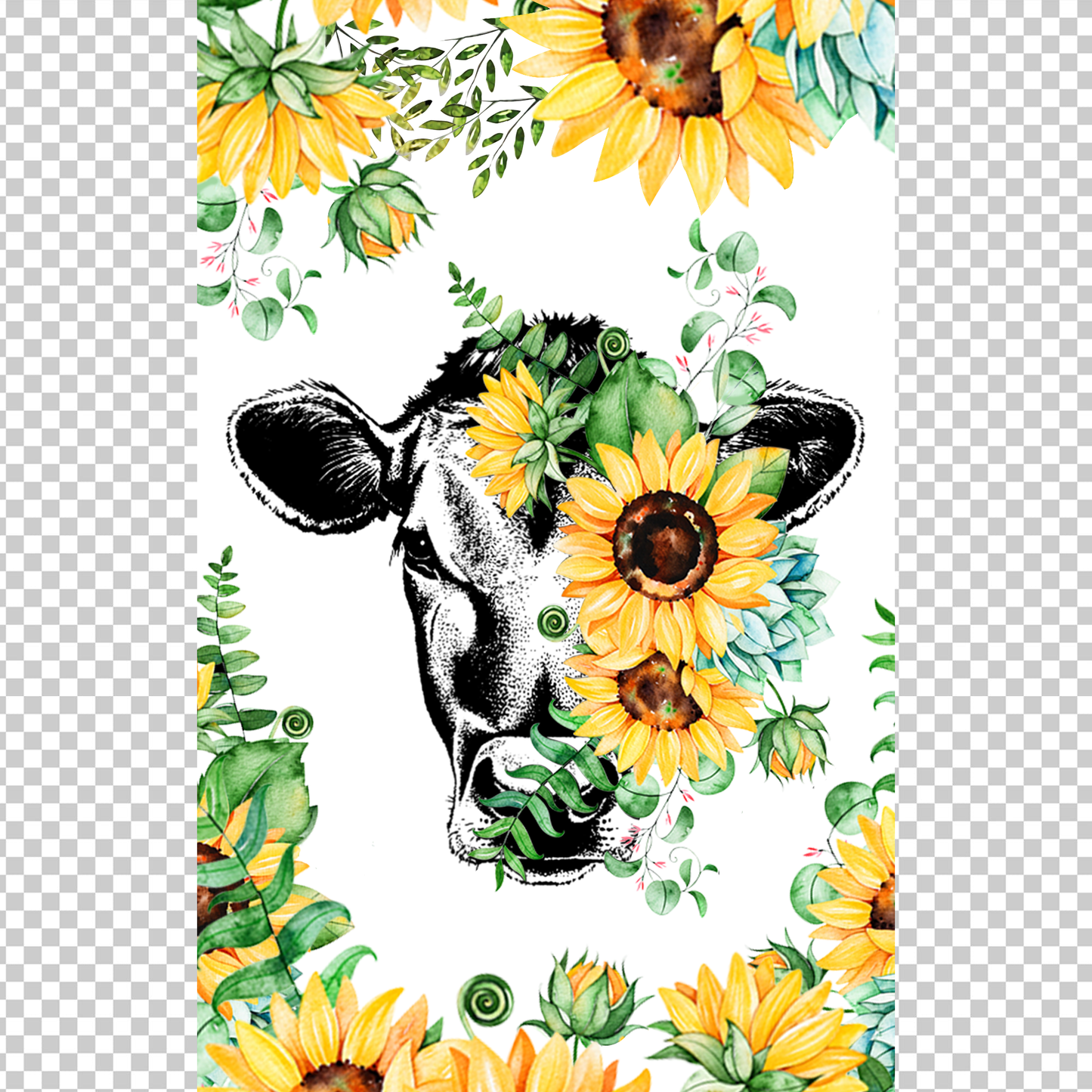 COW 136