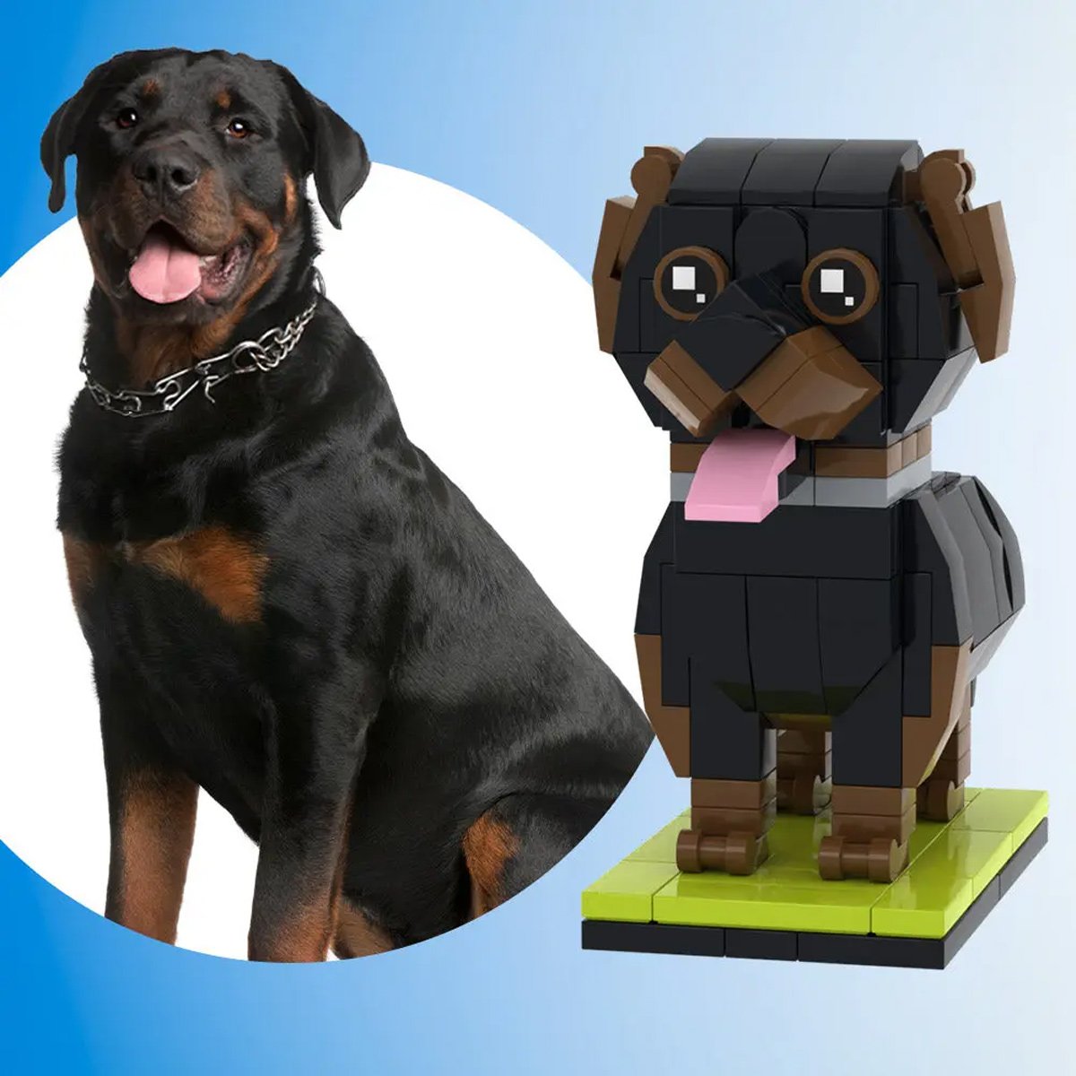 Dog Cat Lovers - Personalized Dog Cat Photos Brick Figures