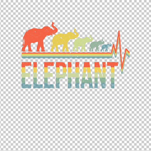 ELEPHANT 11