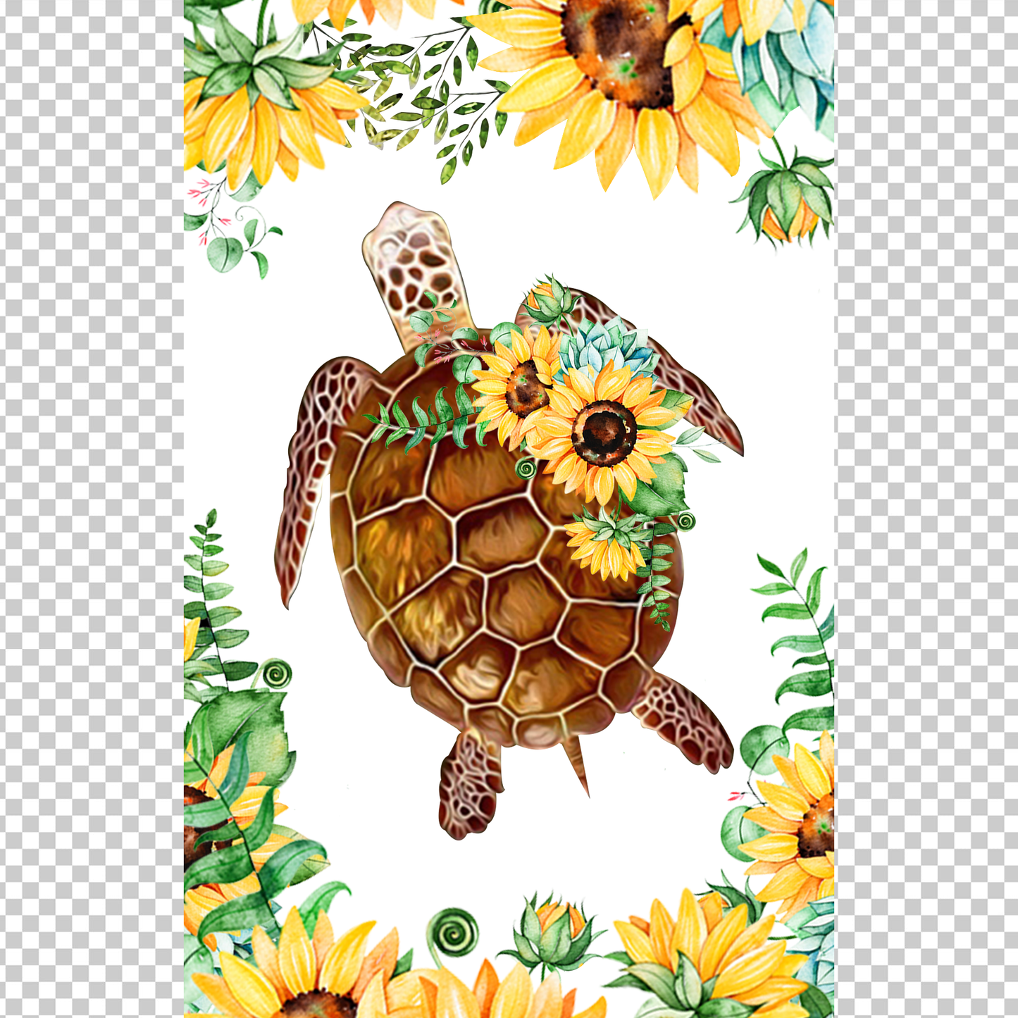 TURTLE 45