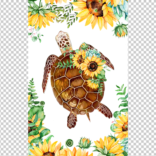 TURTLE 45