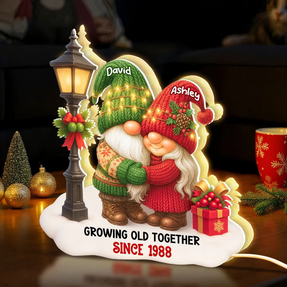 Personalized Acrylic Light Box with Gnome Couple, Cozy Bedroom Lamp for Couples, Unique Growing Old Together Gift