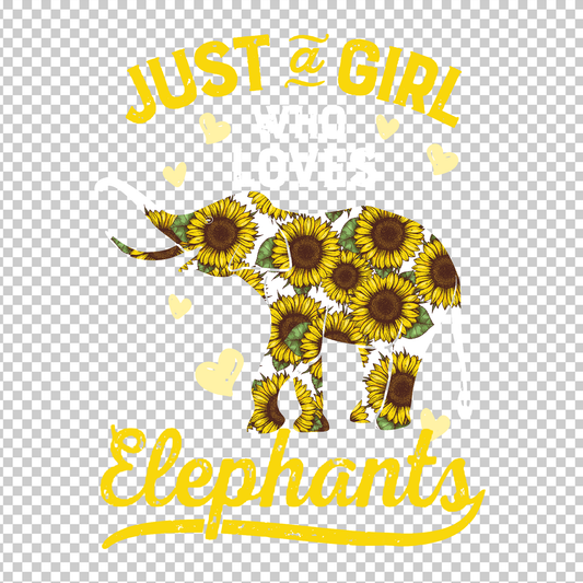 ELEPHANT 4