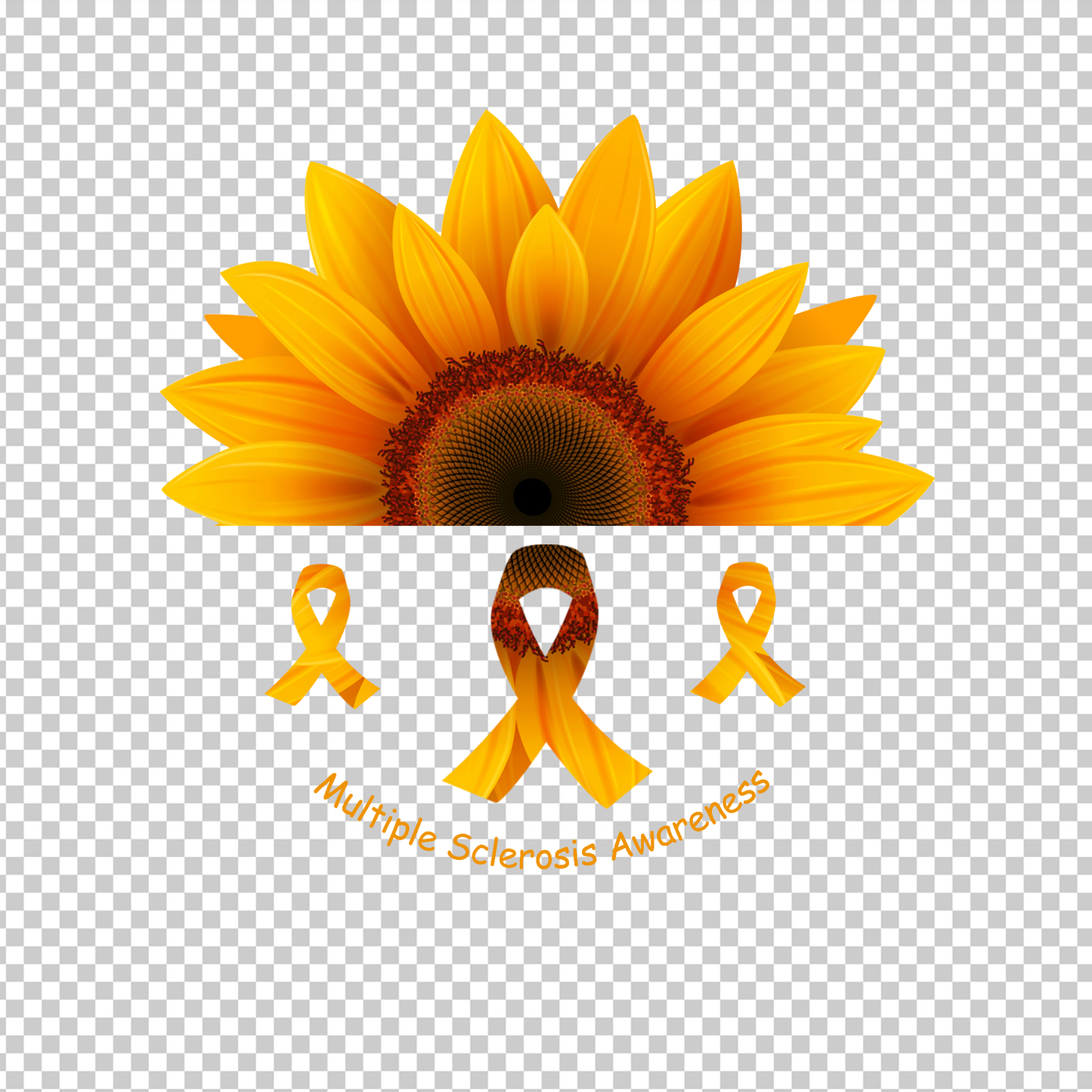 MULTIPLE SCLEROSIS AWARENESS 359