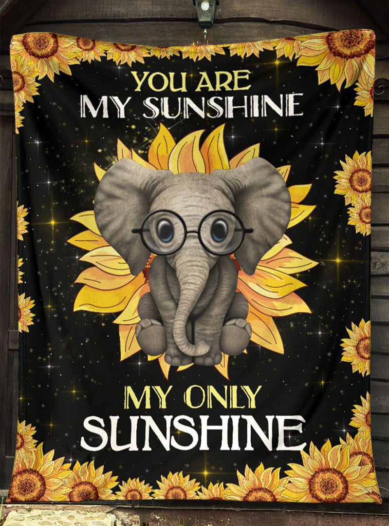 ELEPHANT 14
