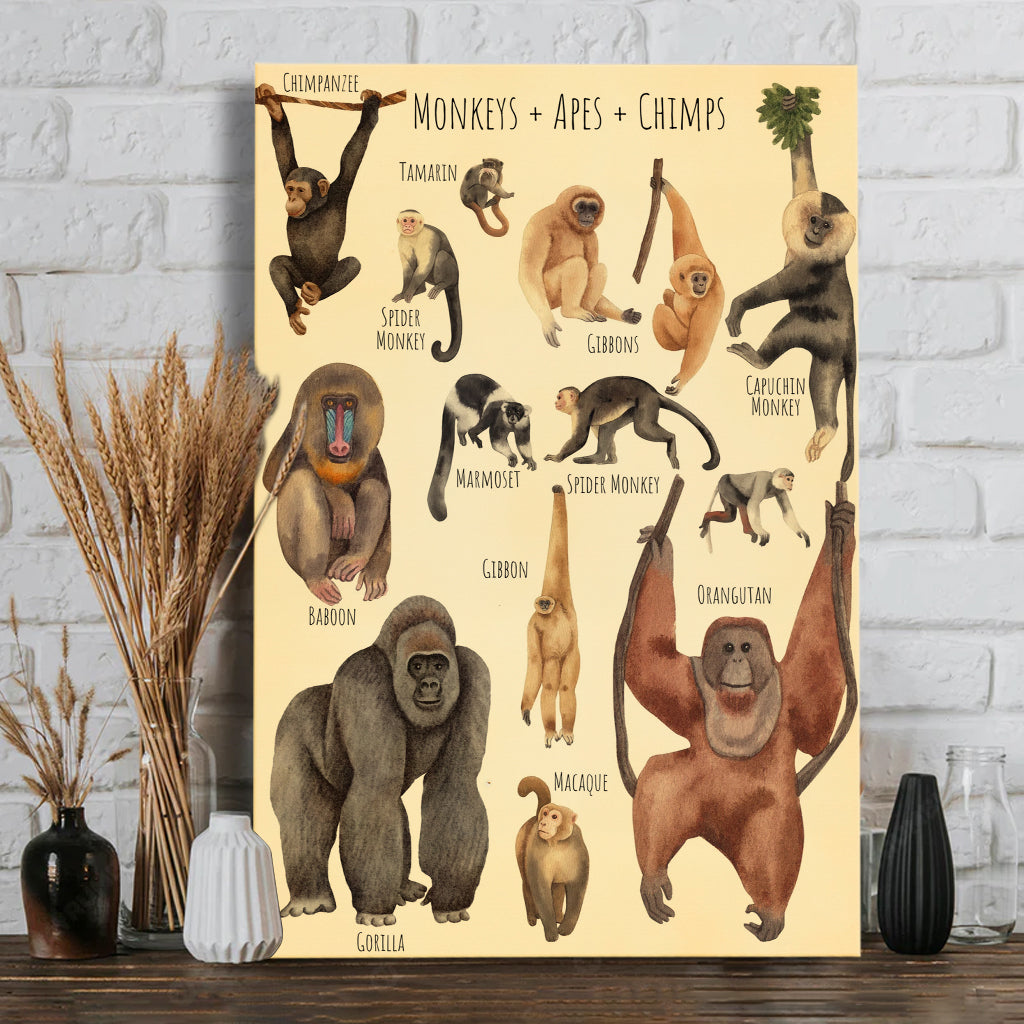 A Beautiful Selection - Canvas And Poster