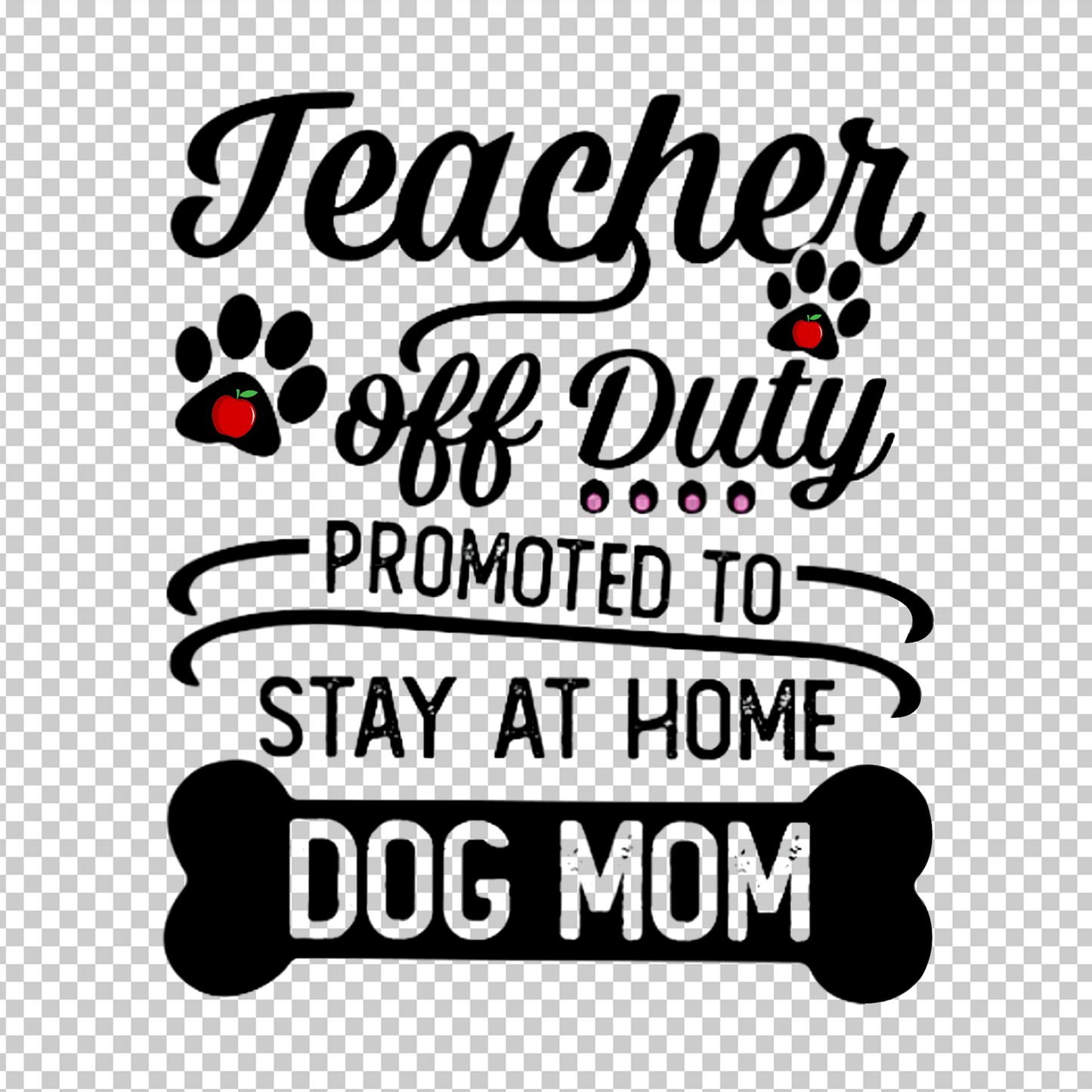 TEACHER 311