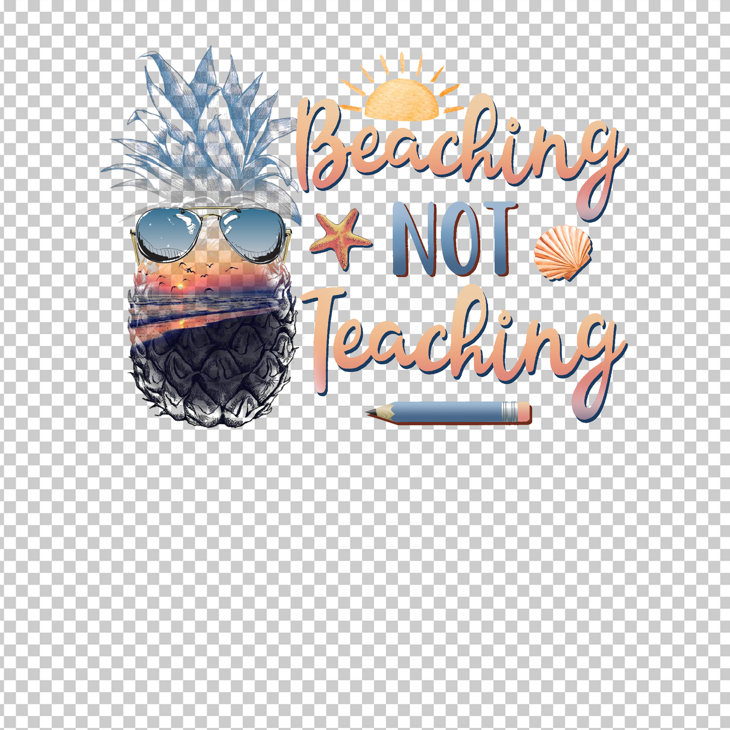 TEACHER 383