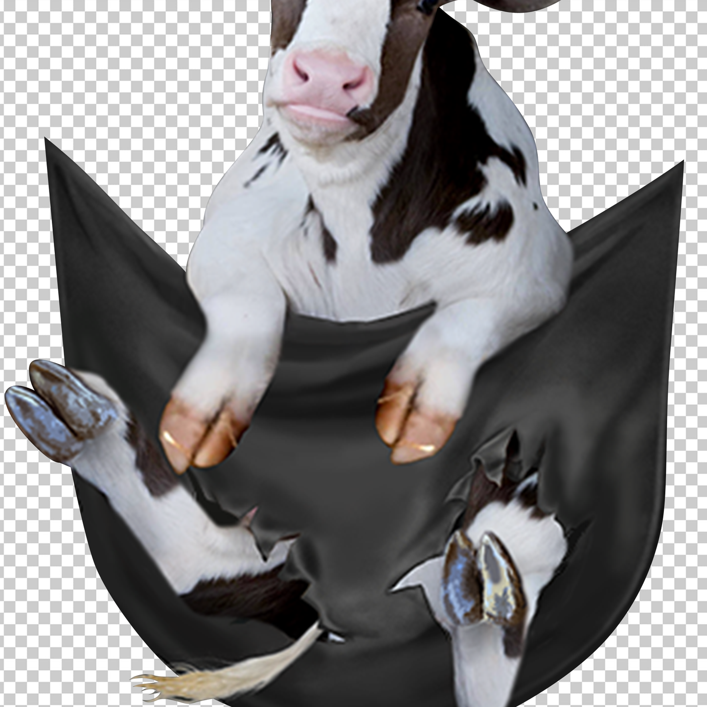 COW 10