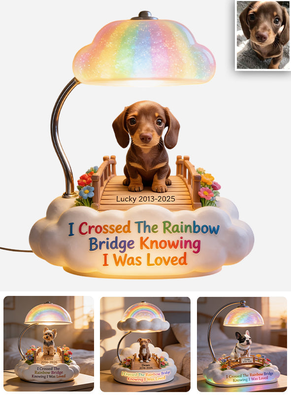 I Crossed The Rainbow Bridge - Personalized Dog Acrylic LED Night Light