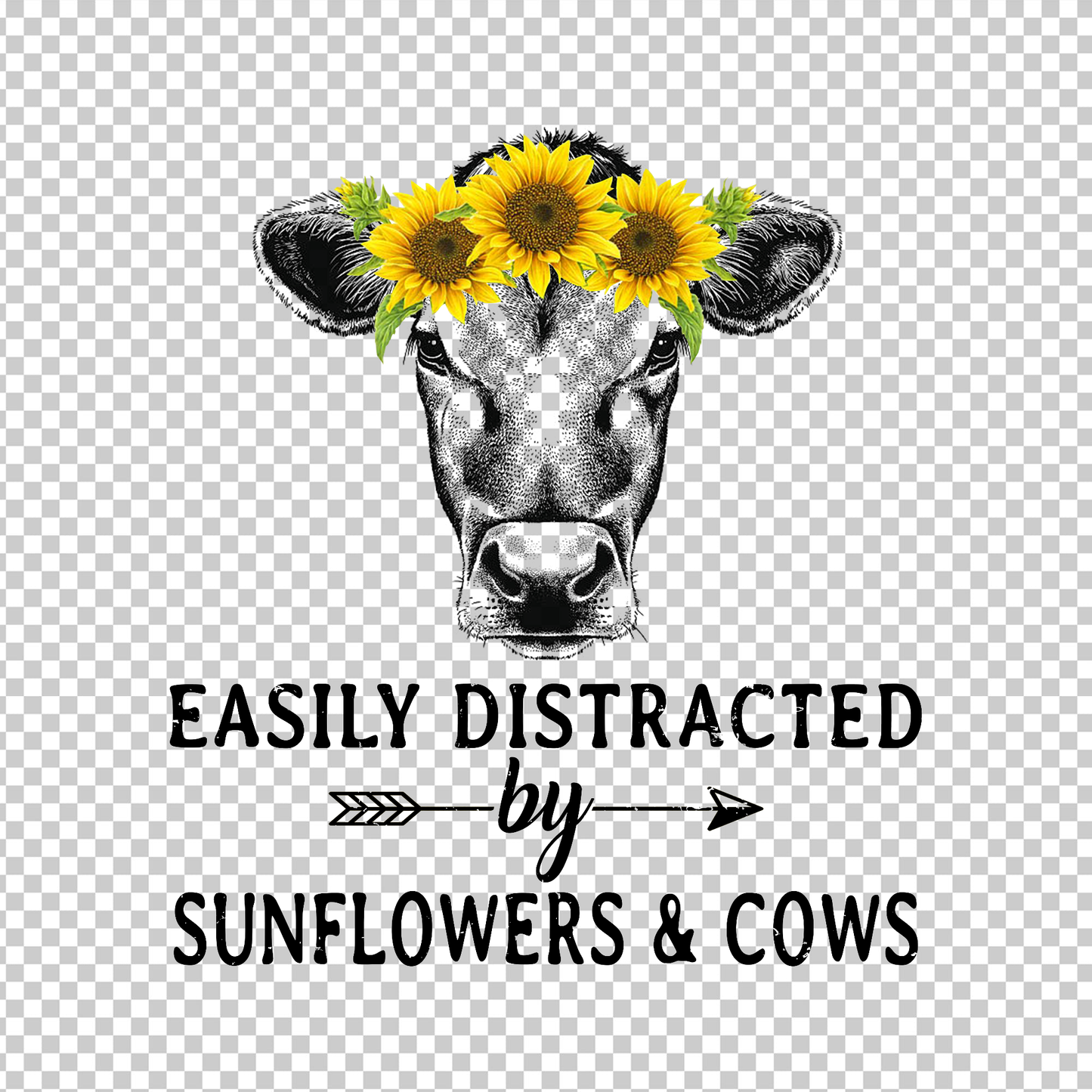 SUNFLOWER 3