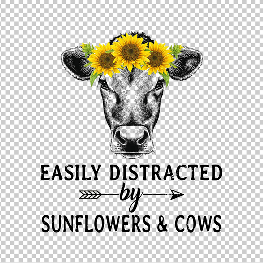 SUNFLOWER 3