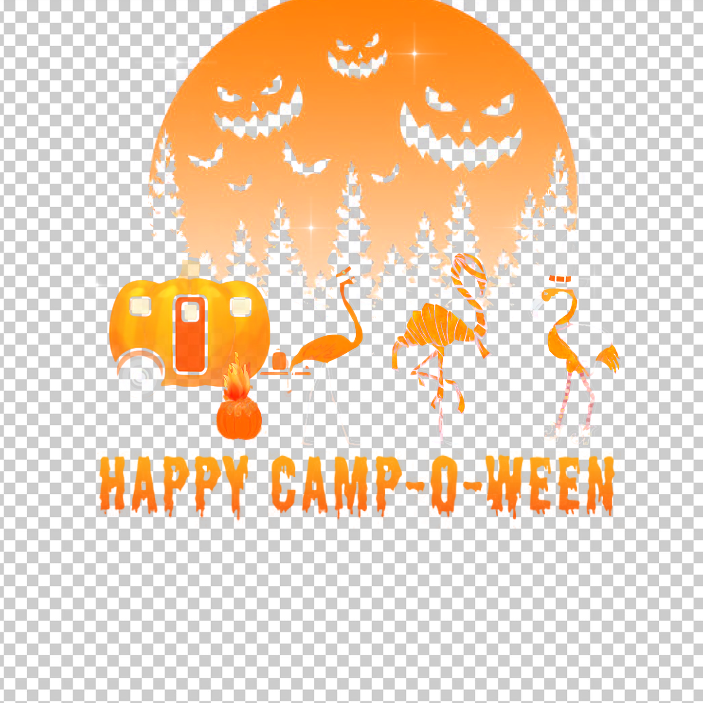 CAMPING 158