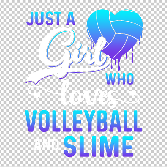 VOLLEYBALL 3