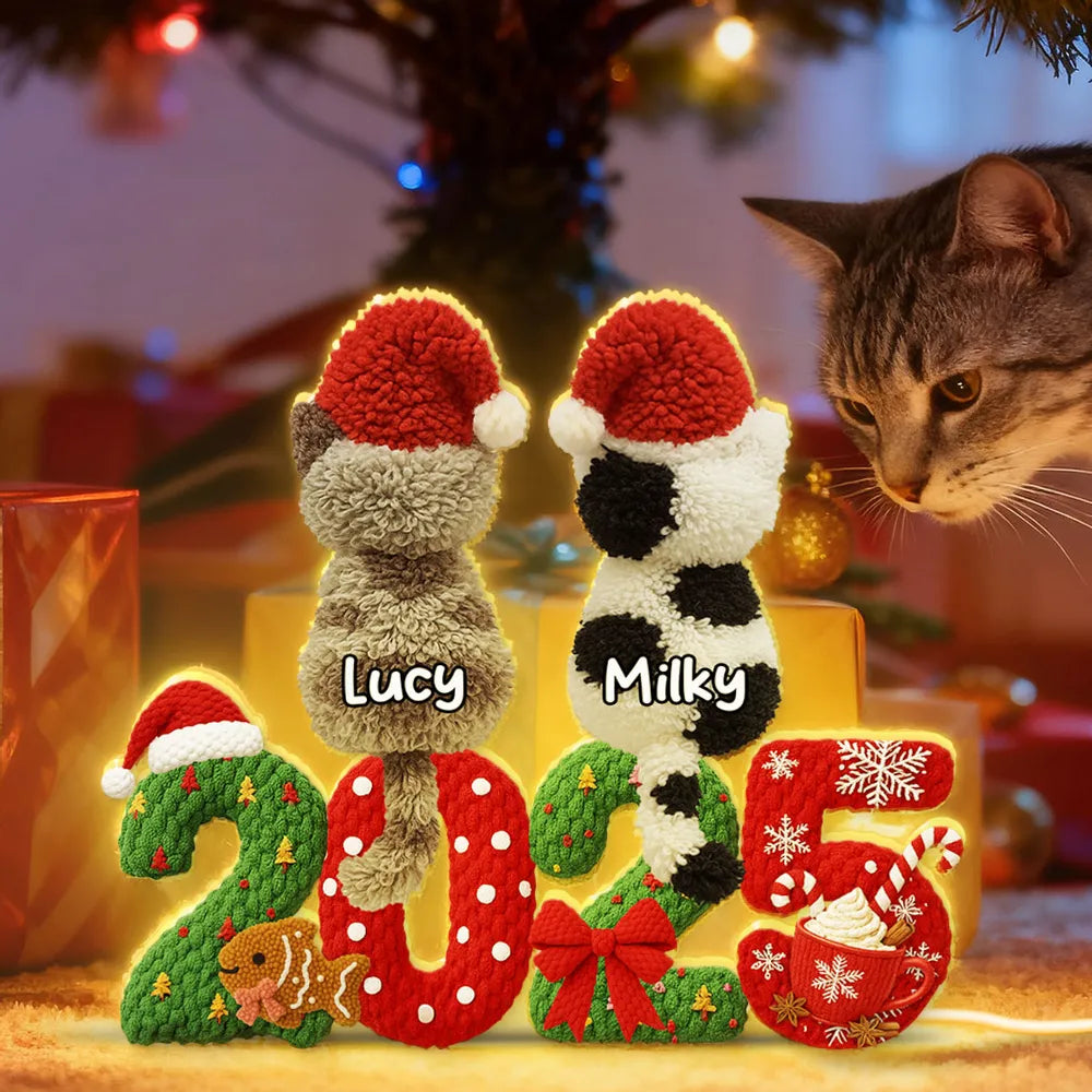Personalized Acrylic Light Box with Cats in Santa Hats, Cozy Christmas Bedroom Lamp, Unique Pet Lover Gift & Festive Keepsake