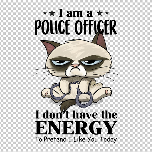 POLICE OFFICER 17