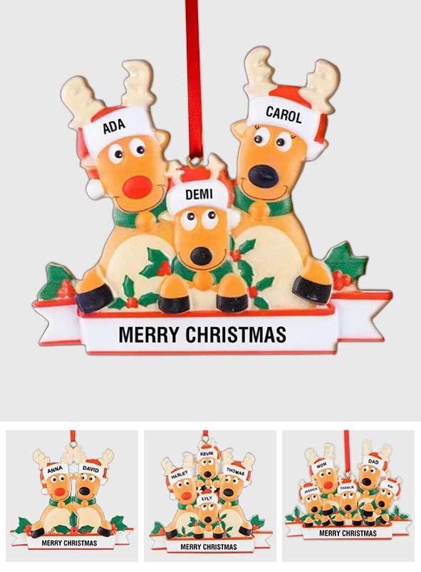 Any Family Name - Personalized Family Gift Ornament